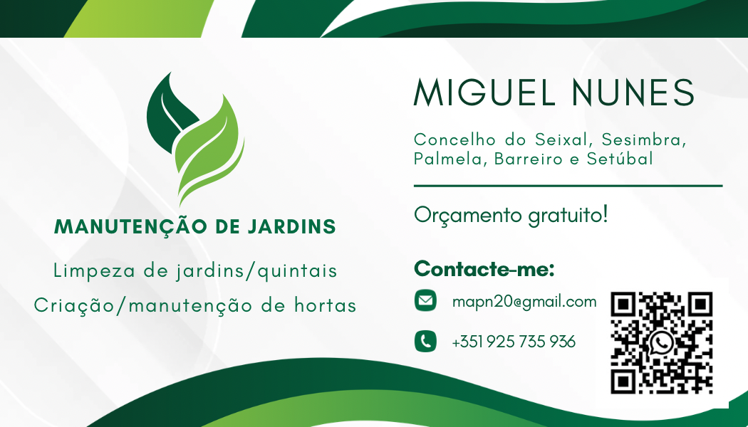 Miguel Nunes