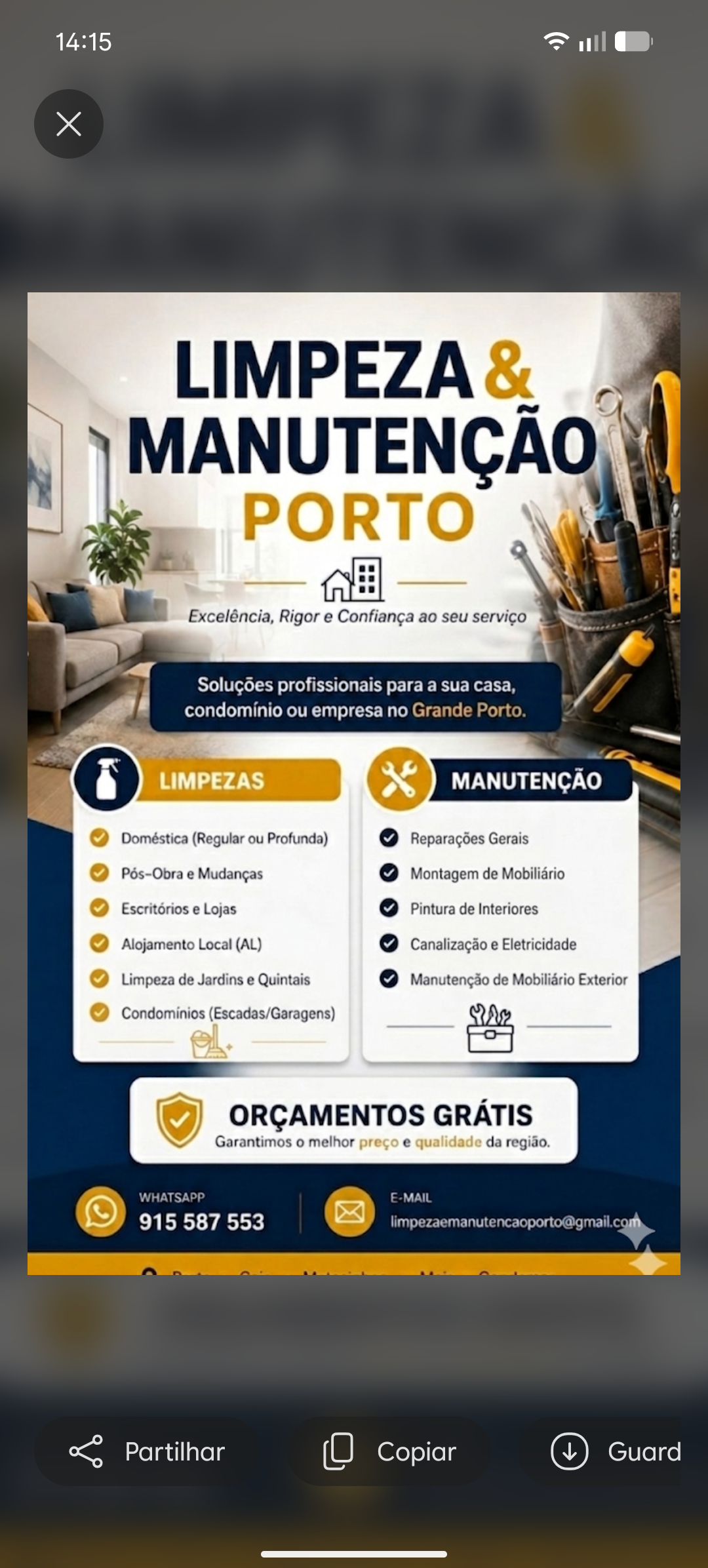 Telmo da silva carreira